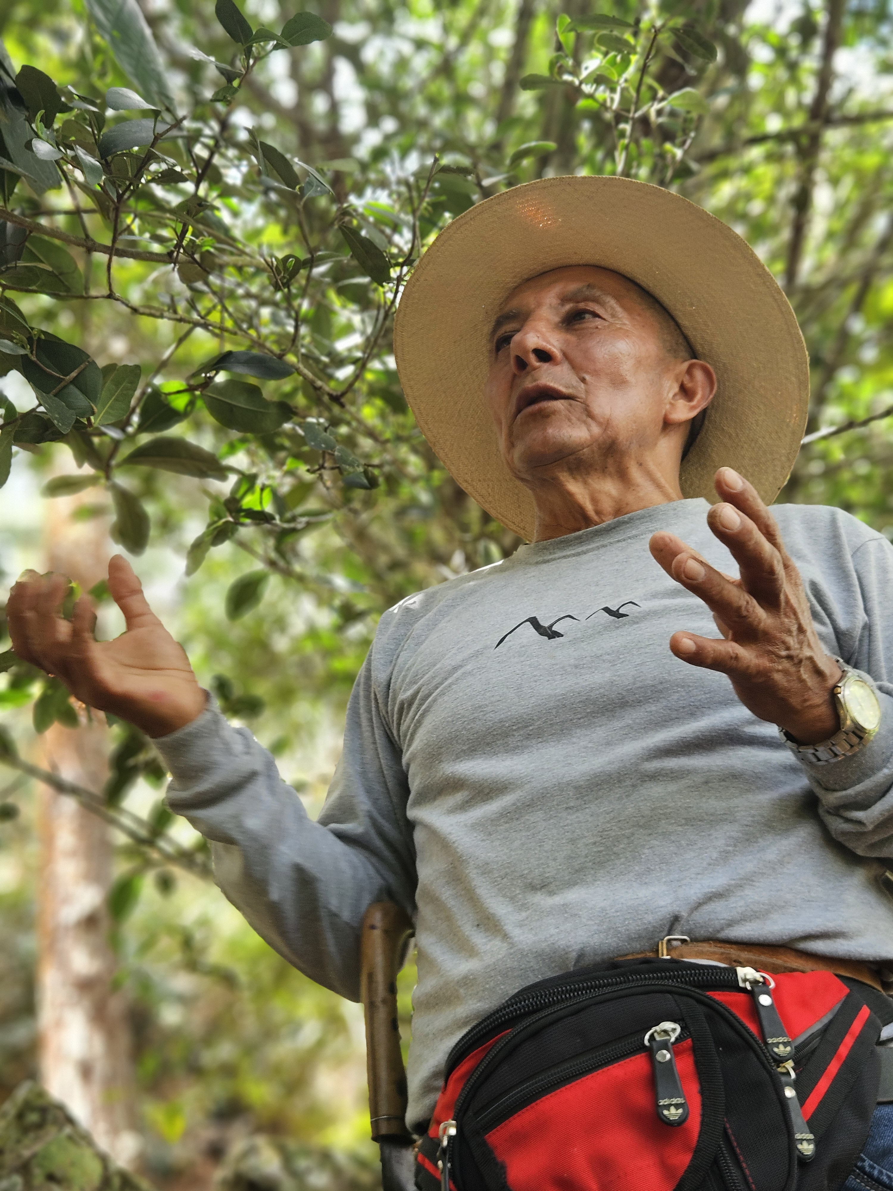 Peru Finca Timbuyacu Maragogype - kawa specialty Darvea Don_Teobaldo