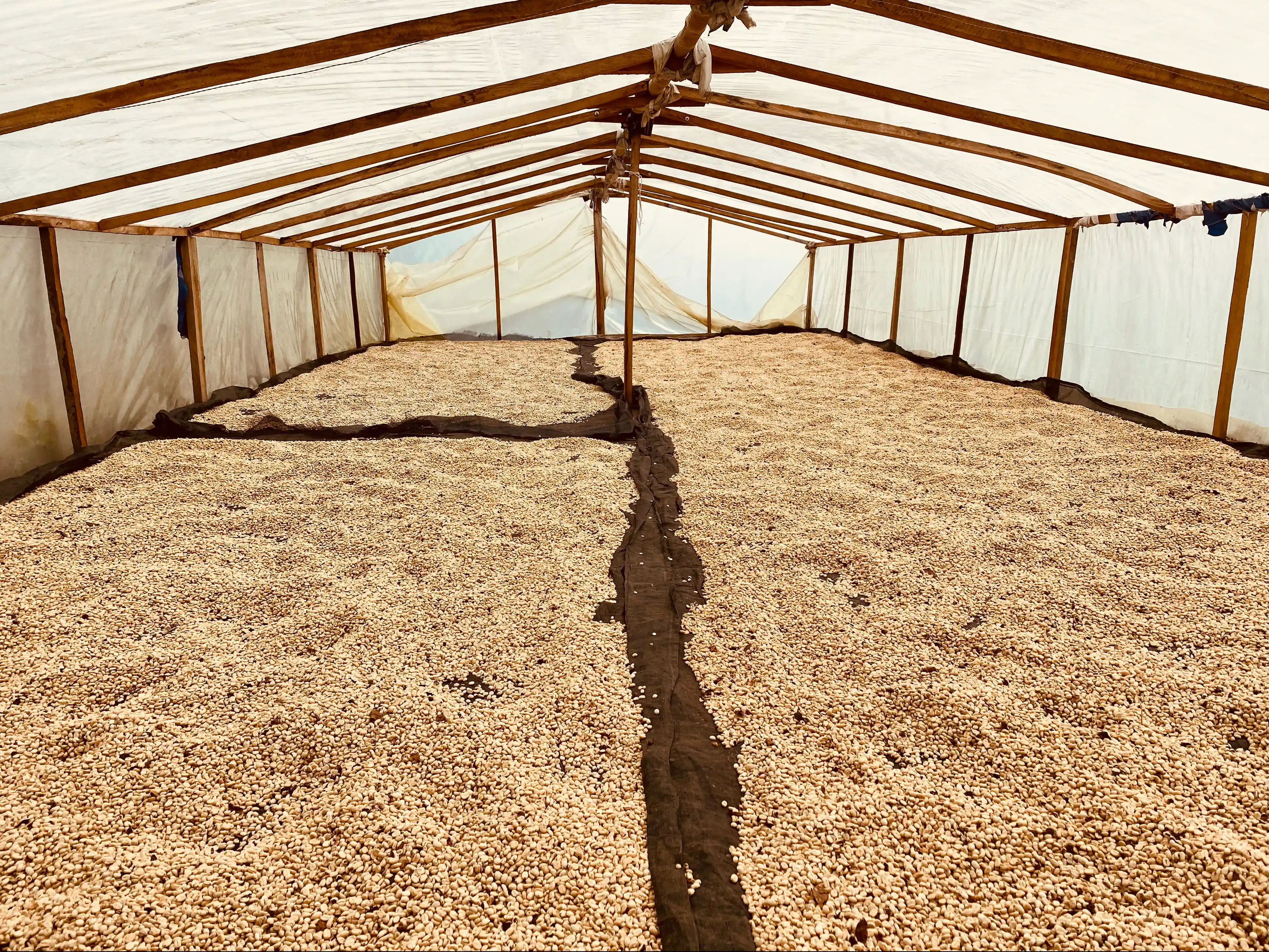 kawa-colombia-la-mari-darvea