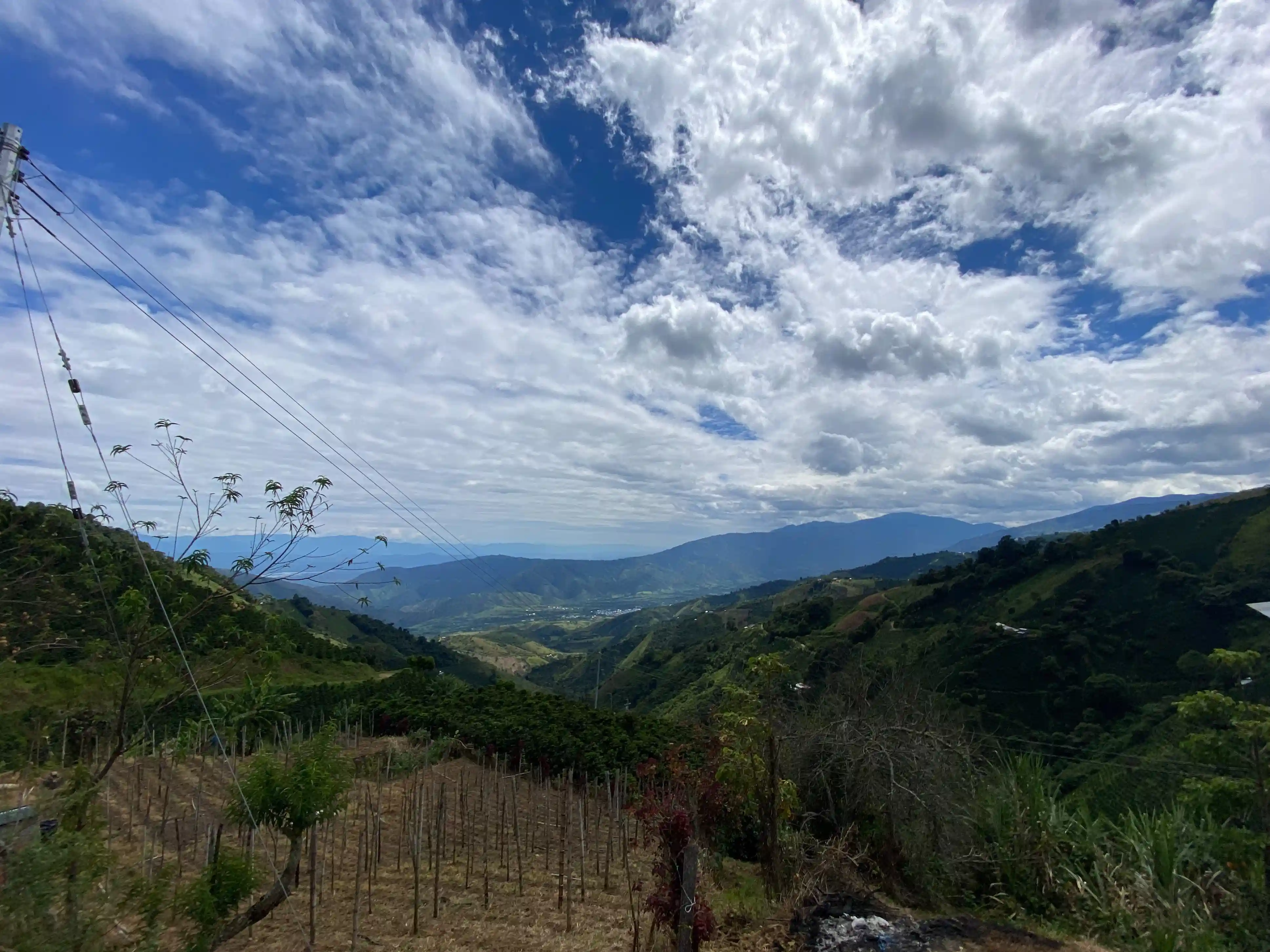 kawa-colombia-la-mari-darvea-02