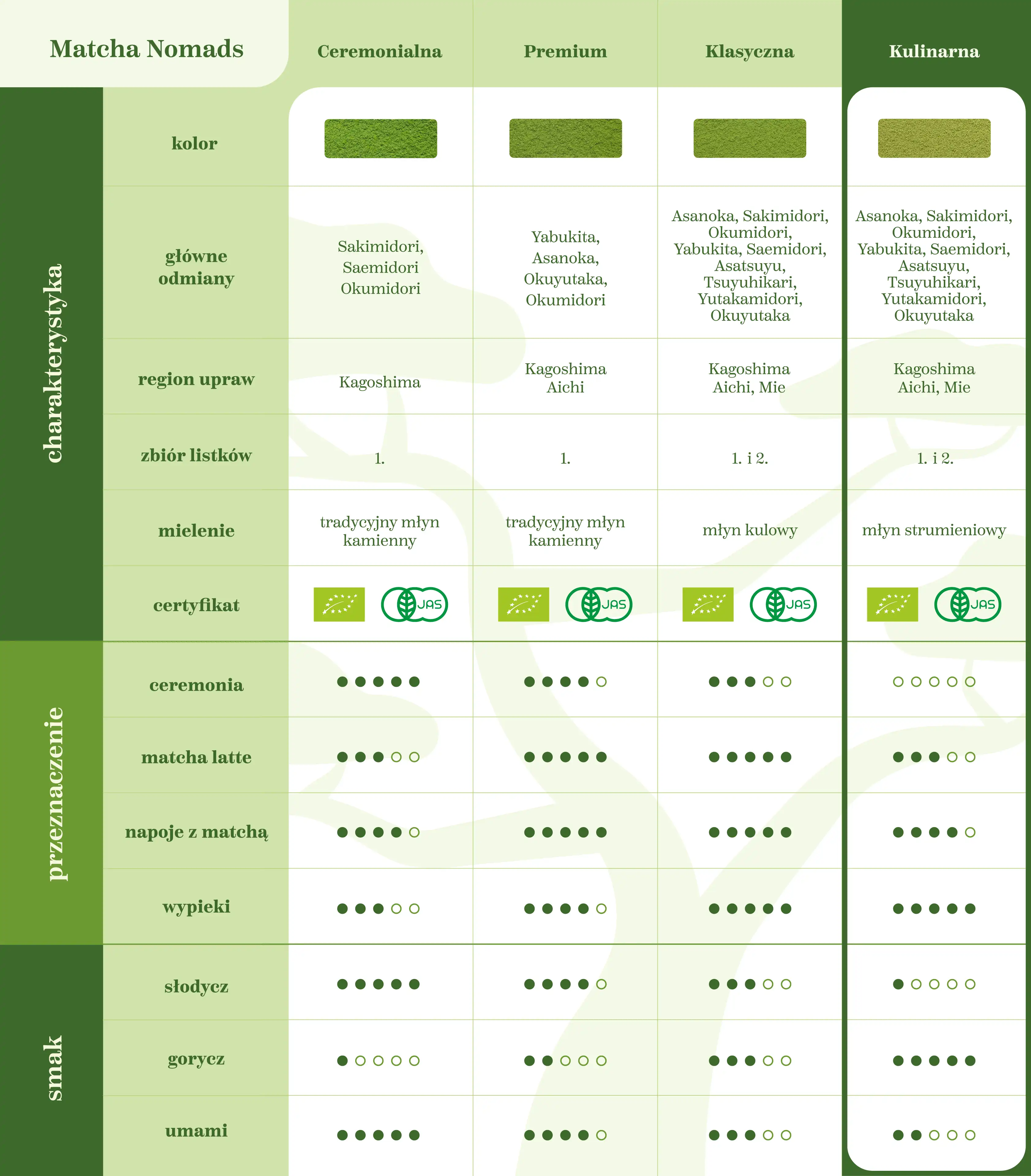 Matcha Kulinarna Nomads