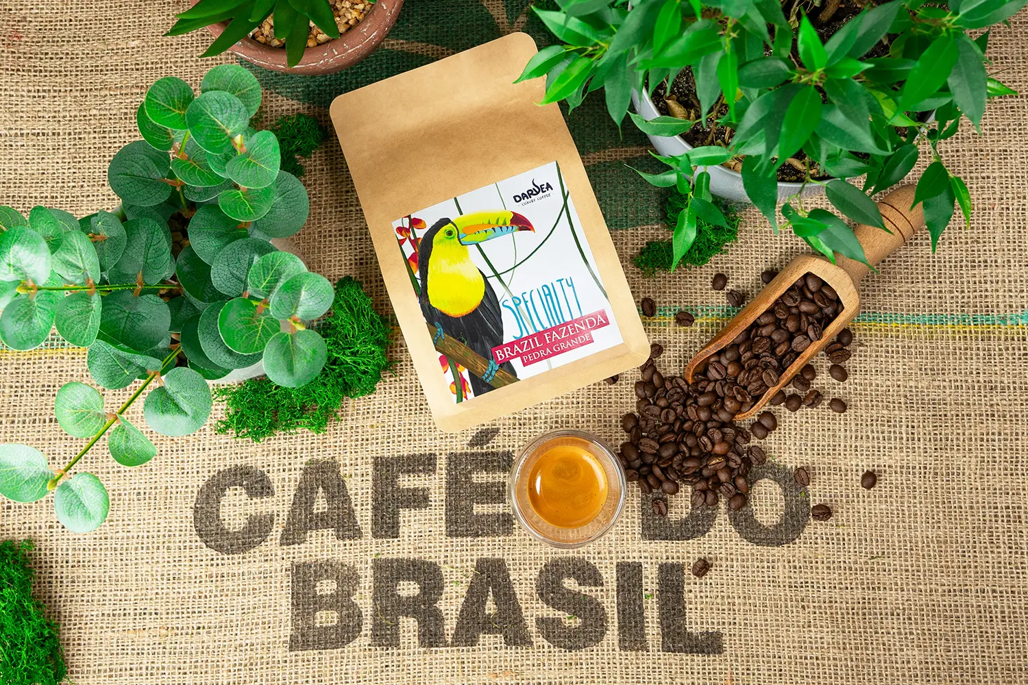 Kawa specialty Brasil Fazenda Pedra Grande