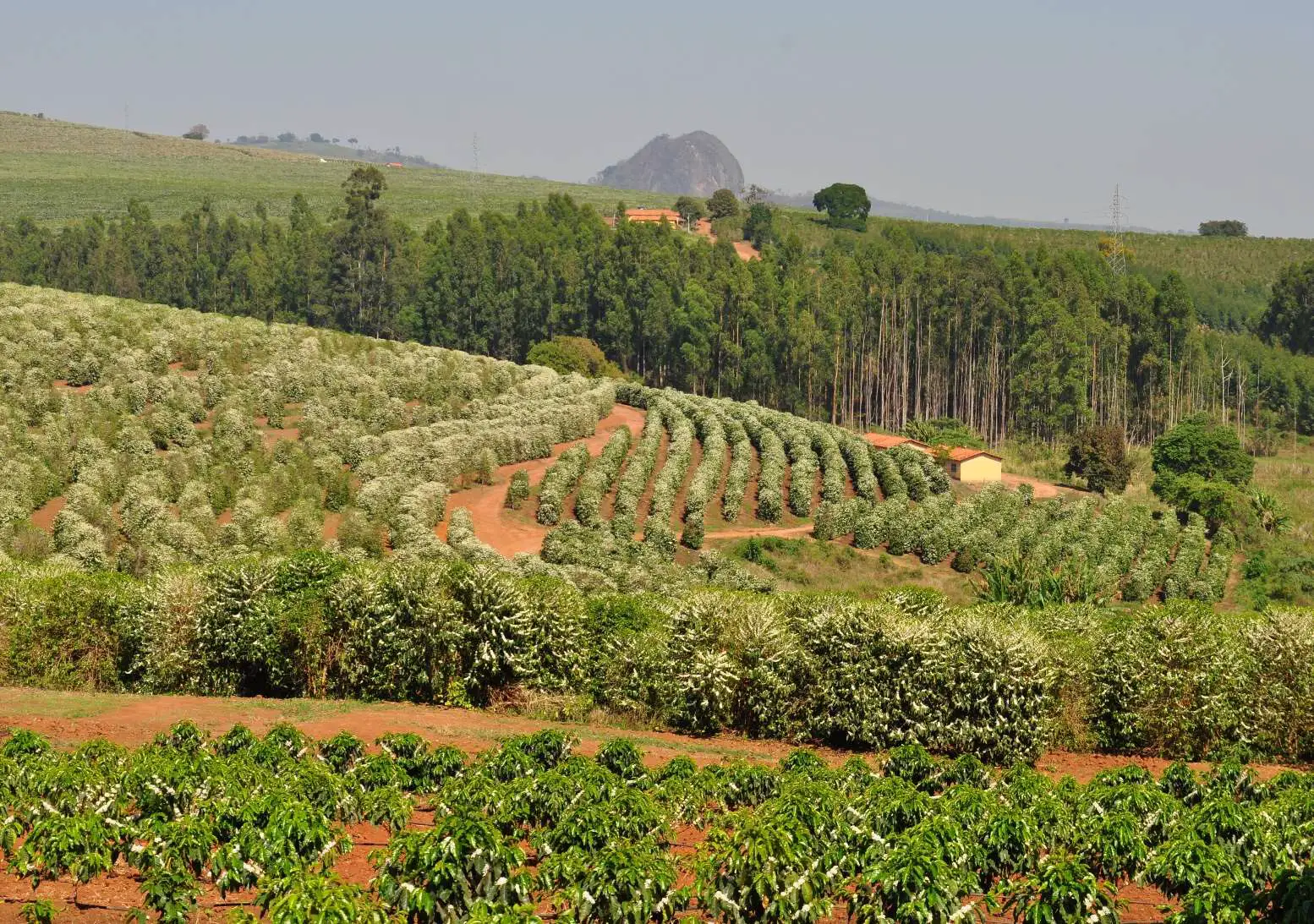 Farma Pedra Grande