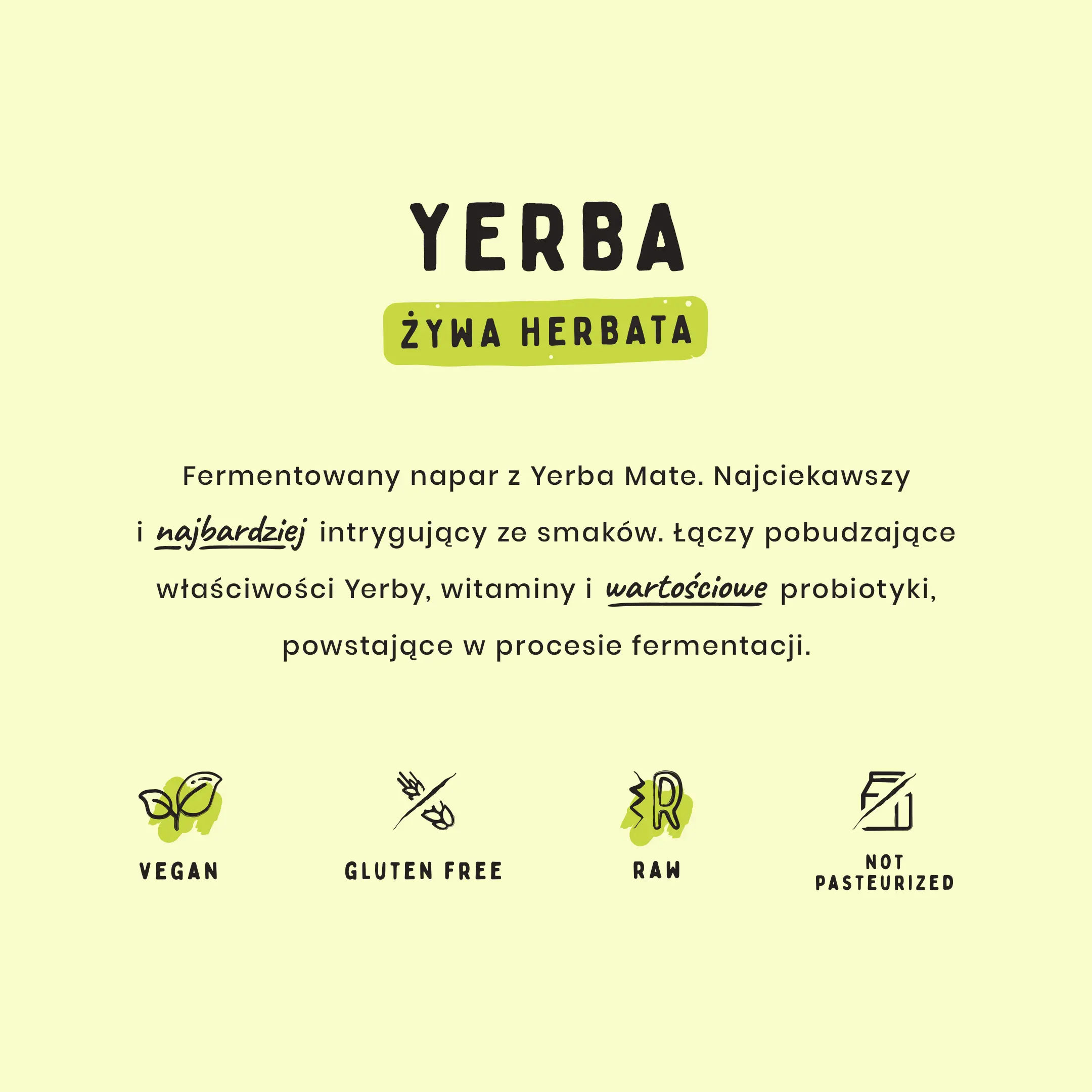 Kombucha yerba