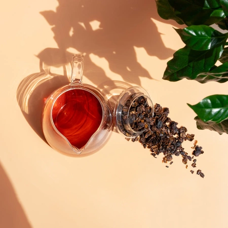 Panama Cascara Geisha Blend Darvea - susz z owoców kawowca