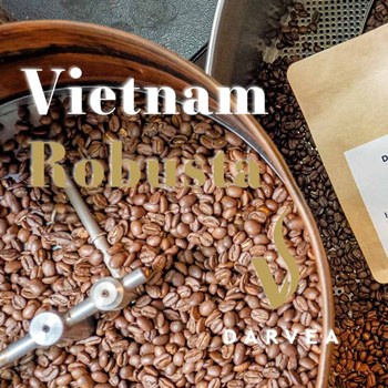 Vietnam Robusta - kawa Darvea