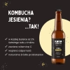 Koko Kombucha - Imbir