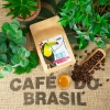 Brazil Fazenda Pedra Grande - kawa specialty Darvea