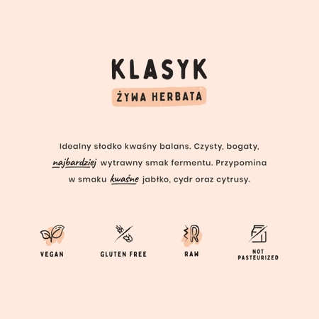 Koko Kombucha - Klasyk